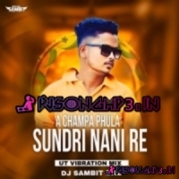 A CHAMPA PHULA SUNDRI NANI RE (UT VIBRETION MIX) DJ SAMBIT DKL  