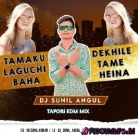 TAMAKU DEKHILE LAGUCHI TAME BAHA HEINA (TAPORI EDM MIX) DJ SUNIL ANGUL  