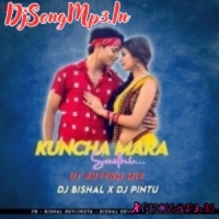 Kuncha Mara Saadhi (Sbp Ut Remix) Dj Bishal X Dj Pintu  