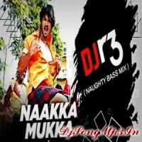 NAAKKA MUKKA (NAUGHTY BASS MIX) DJ R3  