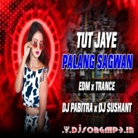 Tut Jaye Raja JI (Edm X Trance) Dj Pabitra X Dj Sushant  